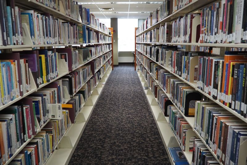 Library Stacks