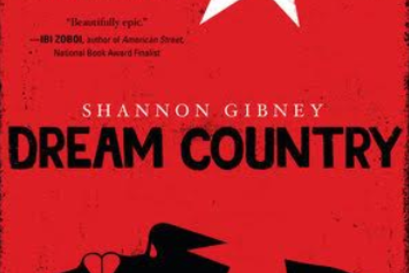 Dream Country by Shannon Gibney