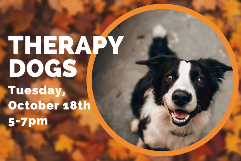 Therapy Dogs study break